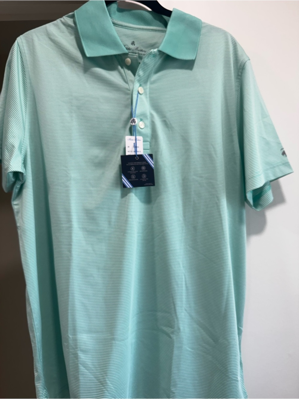 Brooks Brothers Mint Green Striped Performance Polo
